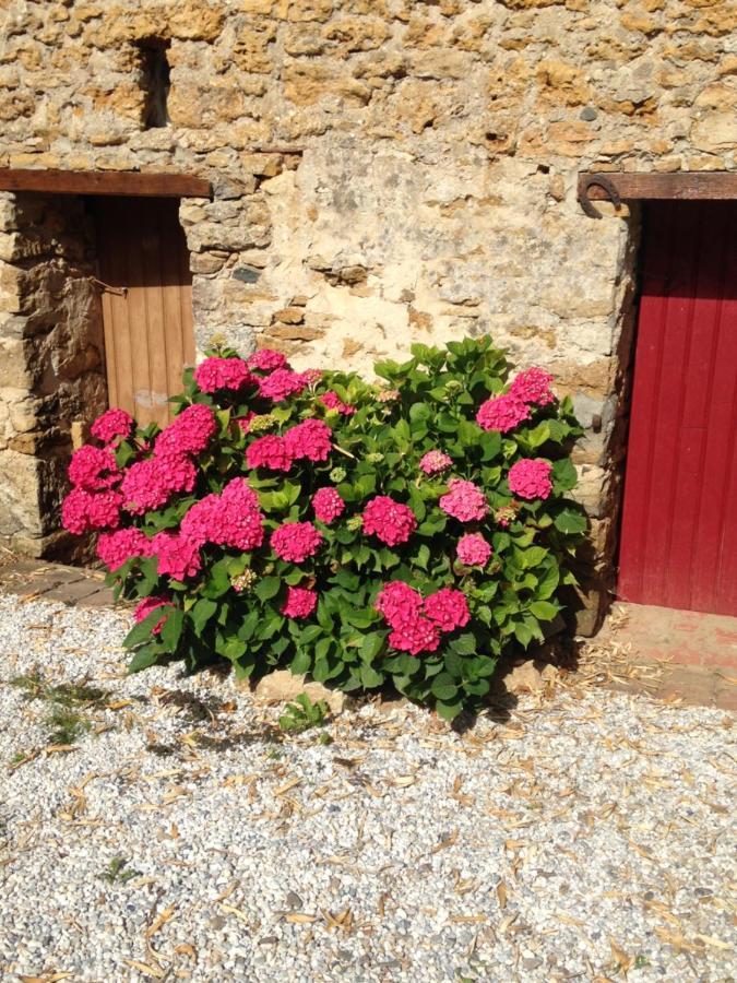 Hotel Le Clos De La Viniere à Jard-sur-Mer Extérieur photo